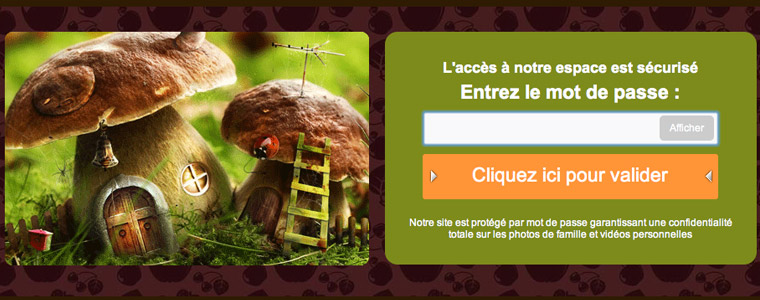 Idéal pour créer un site photo privé de son bébé